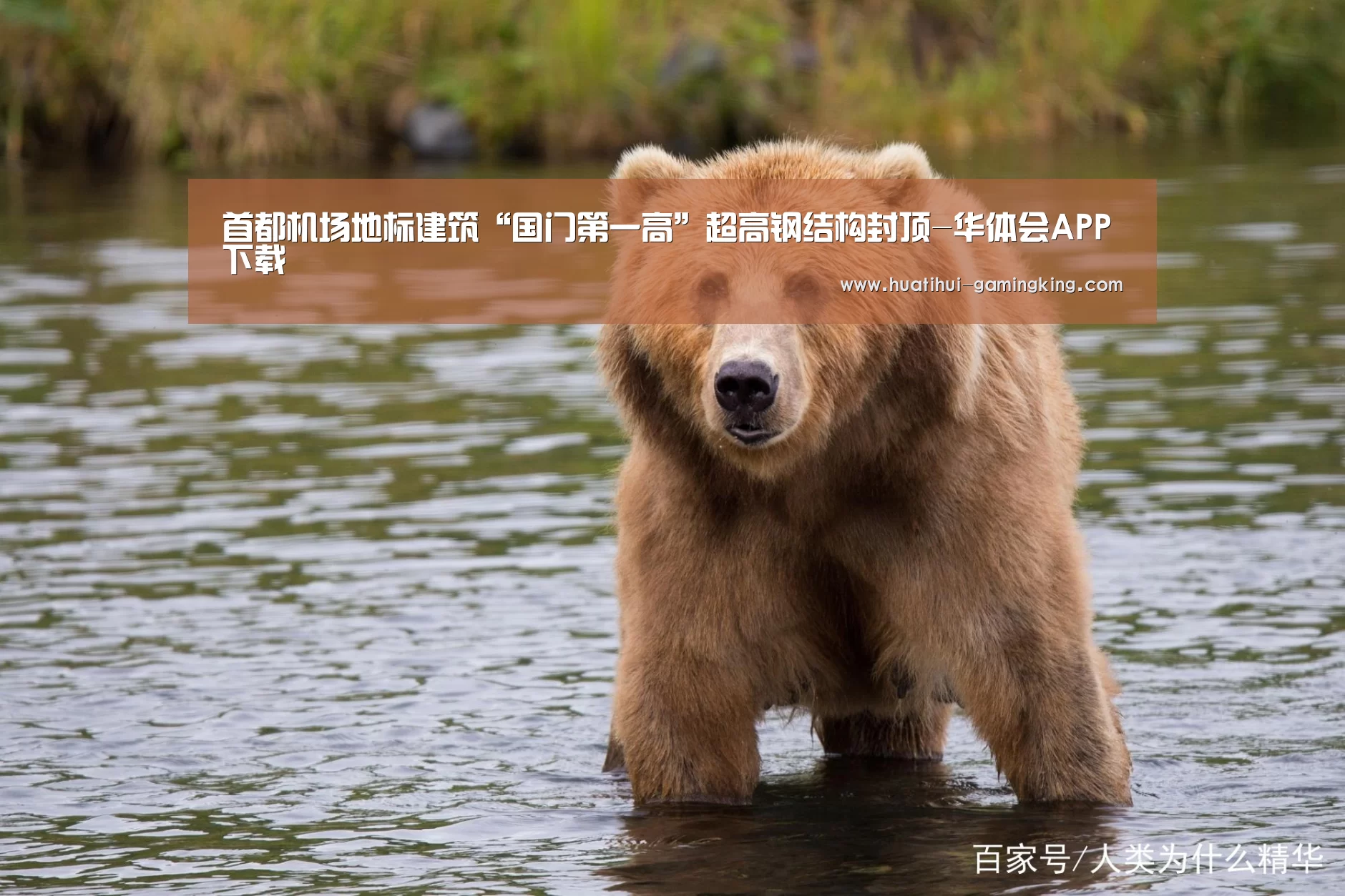 华体会最新地址