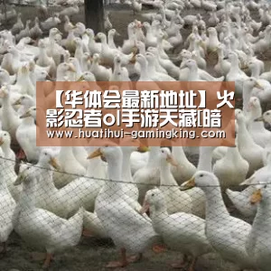华体会官方入口