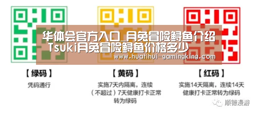 华体会官方入口_月兔冒险鲟鱼介绍 Tsuki月兔冒险鲟鱼价格多少(图3) 华体会最新地址