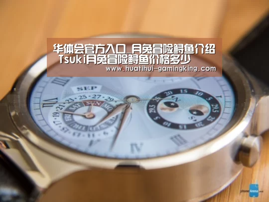 华体会官方入口_月兔冒险鲟鱼介绍 Tsuki月兔冒险鲟鱼价格多少(图2) 华体会登录入口