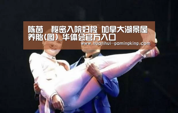 华体会登录入口