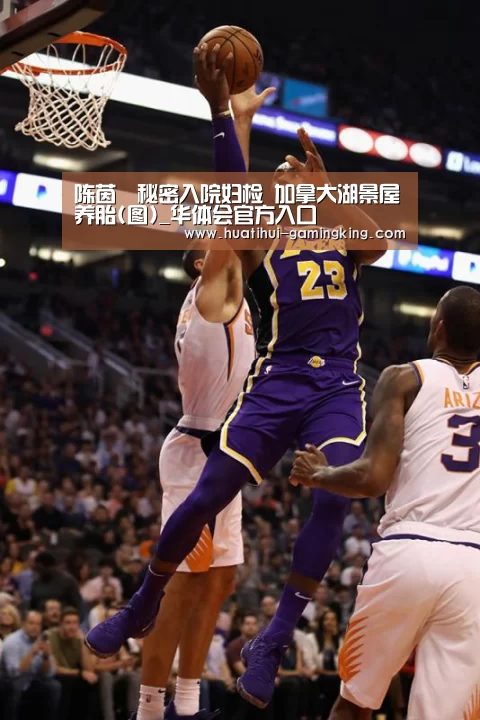 华体会登录入口
