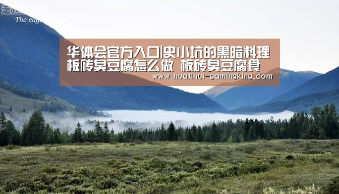 华体会官方入口|史小坑的黑暗料理板砖臭豆腐怎么做 板砖臭豆腐食谱怎么得(图1) 华体会最新地址