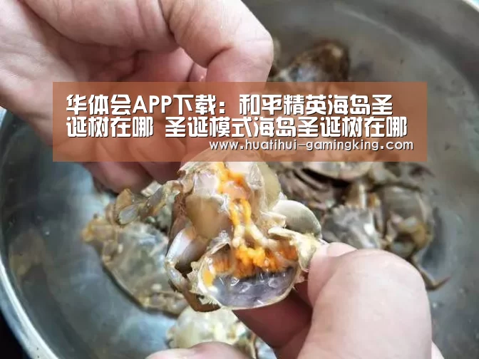 华体会最新地址