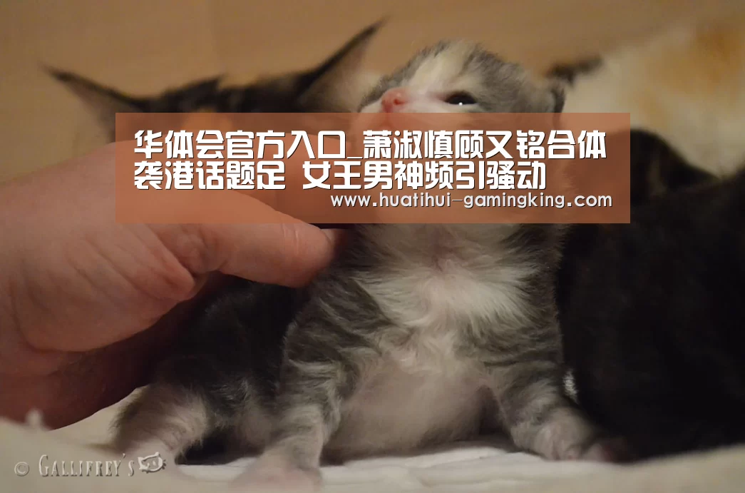 华体会官方入口_萧淑慎顾又铭合体袭港话题足 女王男神频引骚动(图3) 华体会登录入口