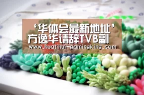 华体会官方入口