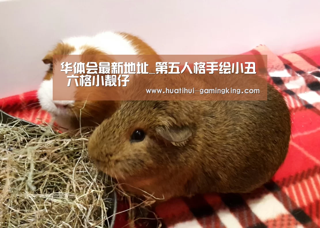 华体会最新地址